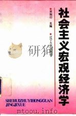 社会主义宏观经济学（1989 PDF版）