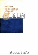 全国电大经济类 政治经济学 社会主义部分 1989 PDF电子版封面 7530908243 李裕宜