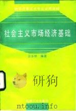 社会主义市场经济基础（1995 PDF版）