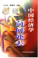 中国经济学向何处去（1997 PDF版）