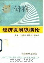 经济发展纵横论（1994 PDF版）