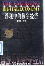 浮现中的数字经济 1998 PDF电子版封面 7300026990 美国商务部公布;姜奇平等译