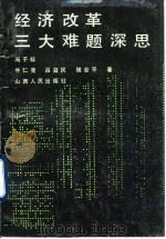 经济改革三大难题深思（1990 PDF版）