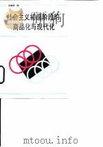 社会主义初级阶段的商品化与现代化 1989 PDF电子版封面 7800330826 张晓明著