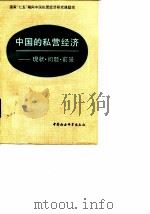 中国的私营经济  现状·问题·前景（1989 PDF版）