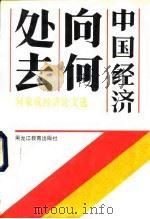 中国经济向何处去  何家成经济论文选（1991.07 PDF版）