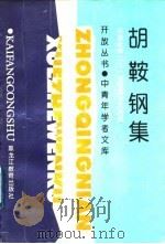 胡鞍钢集 中国走向二十一世纪的十大关系 1995 PDF电子版封面 7531629054 胡鞍钢著