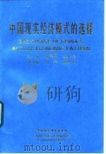 中国现实经济模式的选择（1998 PDF版）