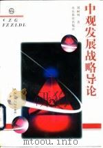 中观发展战略导论（1996 PDF版）