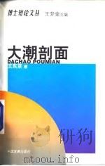 大潮剖面 1999 PDF电子版封面 7800873277 王东京著