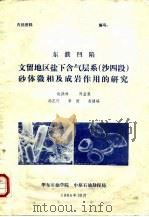 东濮凹陷文留地区盐下含气层系  沙四段  砂体微相及成岩作用的研究（1985 PDF版）