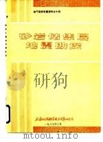 油气勘探专题资料之十四  砂岩储集层地震勘探（1987 PDF版）