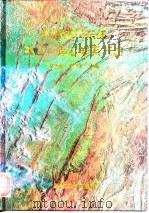中国四川东部高陡构造石炭系气田（1997 PDF版）