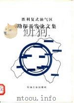胜利复式油气区勘探开发论文集（1995 PDF版）