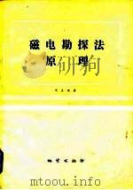 磁电勘探法原理（1984 PDF版）