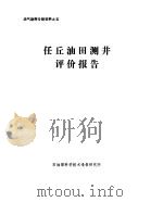 任岳油田测井评价报告（ PDF版）