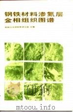 钢铁材料渗氮层金相组织图谱（1986 PDF版）