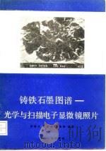 铸铁石墨图谱  光学与扫描电子显微镜照片（1983 PDF版）