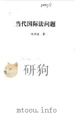 当代国际法问题（1993 PDF版）