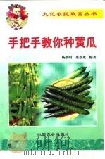 手把手教你种黄瓜（1999 PDF版）