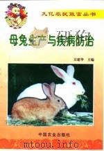 母兔生产与疾病防治 1999 PDF电子版封面 7109054993 吴建华主编