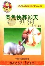 肉兔快养90天（1999 PDF版）