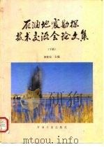 石油地震勘探技术交流会论文集  下（1993 PDF版）
