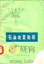 石油地震勘探（1987 PDF版）