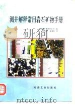 测井解释常用岩石矿物手册（1998 PDF版）