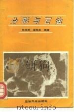 分形与石油（1994 PDF版）