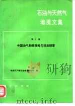 石油与天然气地质文集  第5集  中国油气勘探战略与规划部署（1997 PDF版）