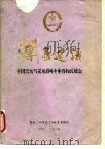 专家建设 中国天然气发展战略专家咨询论证会 1989 PDF电子版封面