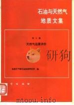 石油与天然气地质文集  第6集  天然气远景评价（1997 PDF版）