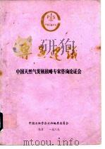 专家建议  中国天然气发展战略专家咨询论证会（ PDF版）