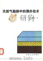 天然气勘探中的测井技术（1994 PDF版）