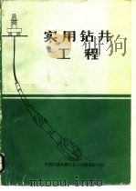 实用钻井工程（ PDF版）