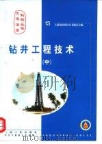 钻井工程技术  中（1999 PDF版）