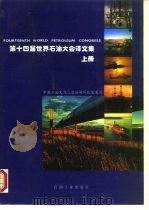 第十四届世界石油大会译文集  上（1994 PDF版）