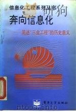 奔向信息化 简述“三金工程”的历史意义 1995 PDF电子版封面 7505329588 王直华等编著