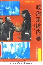 政治采访内幕（1993 PDF版）