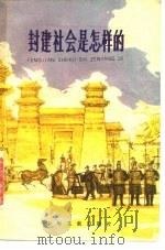 封建社会是怎样的（1980 PDF版）