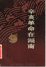 辛亥革命在湖南 论文集 1984 PDF电子版封面 11109·228 湖南史学会编