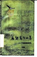 展翅高飞的鸟  丁玲的青年时代（1987 PDF版）