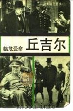 临危受命-丘吉尔 1989 PDF电子版封面 7501201528 解力夫著