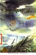 魂系中华  郭沫若流亡归来（1986 PDF版）