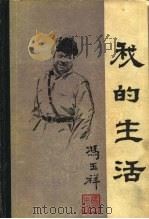 我的生活（1984 PDF版）