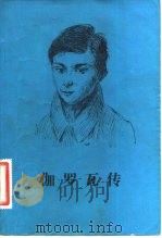 伽罗瓦传（1981 PDF版）