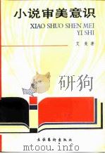 小说审美意识（1988 PDF版）
