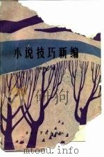 小说技巧新编（1986 PDF版）
