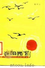 在阳光下（1984 PDF版）